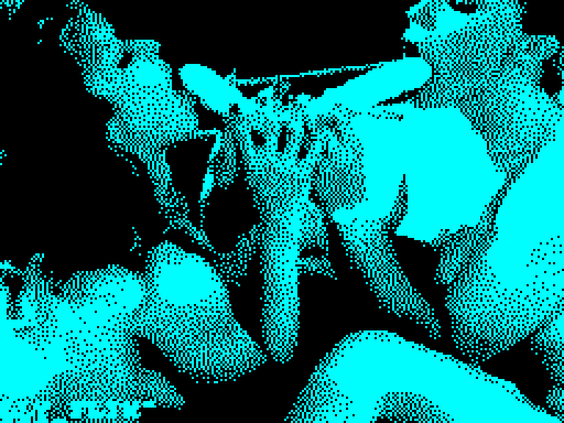 Erotic