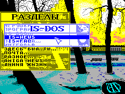 ZX Format